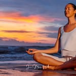 esprit du débutant pleine conscience